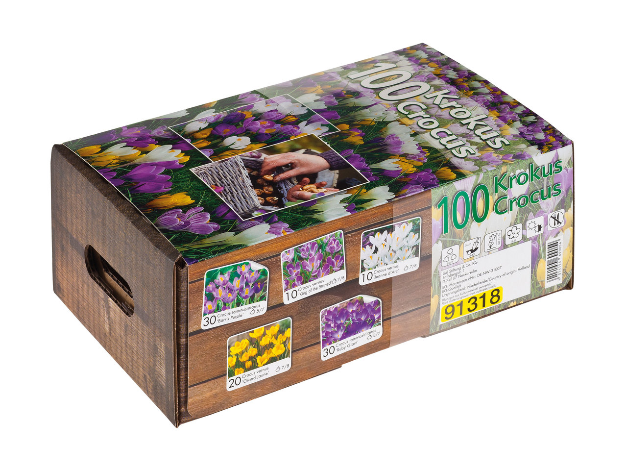 Bulbs in Decorative Box1