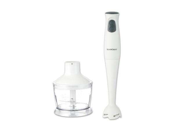 Stabmixer-Set