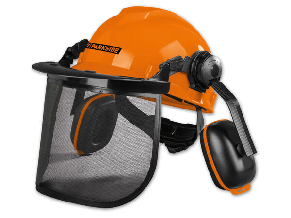 Forstschutzhelm