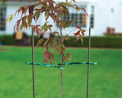 Gardenline Plant Supports