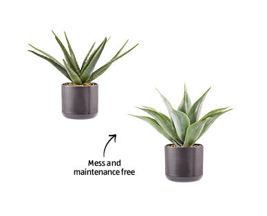 Assorted Faux Plants