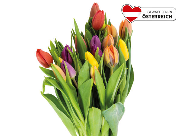 Tulpenstrauß Kunterbunt