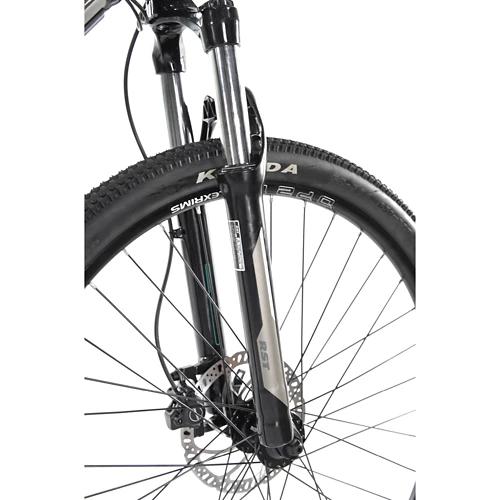 ALLEGRO Invisible E-MTB AXIM°03 19", Corn