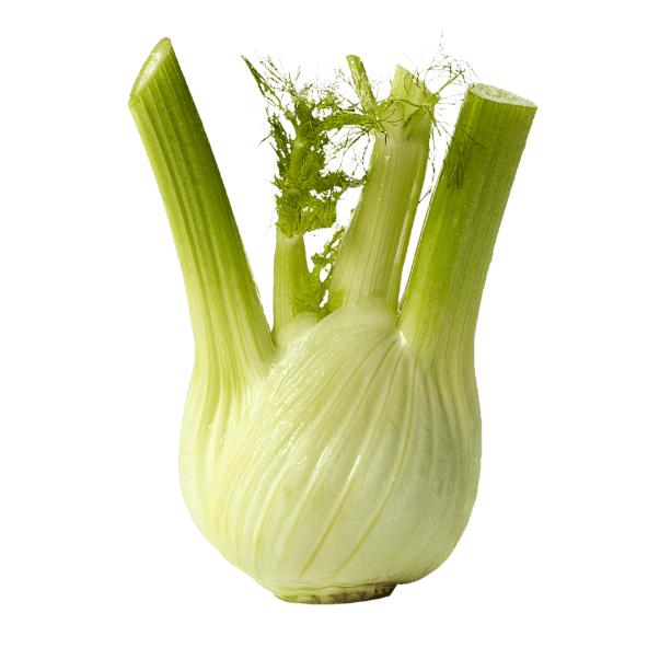 Fenouil