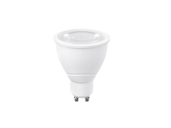 LED Light Bulbs