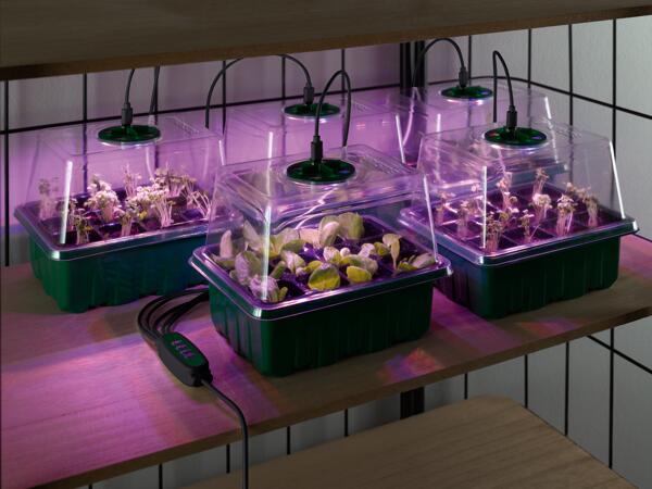 Propagator Assortment
