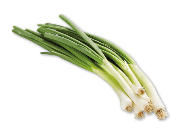 Forårsløg