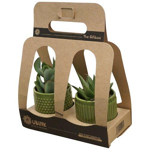 GARDENLINE Duo de plantes succulentes