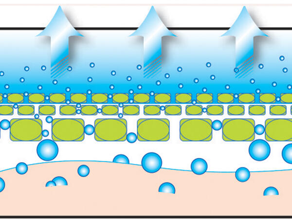 Microfibre Pillow