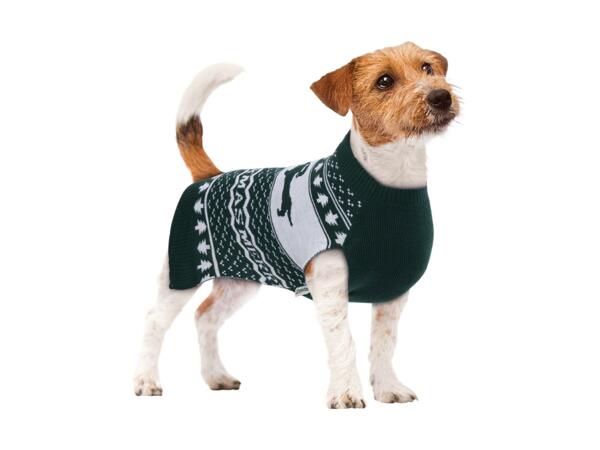 Dog Jumper