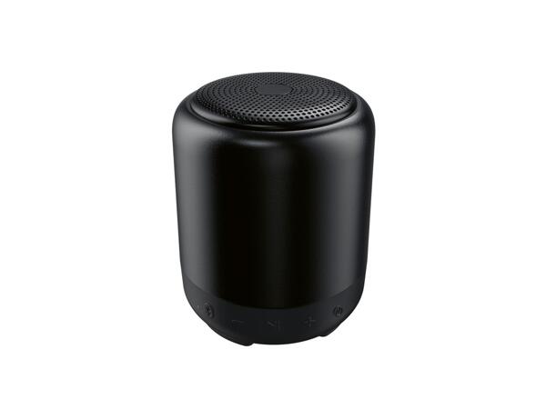 Bluetooth(R) Speaker