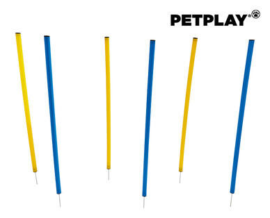 Dog Agility Assortment