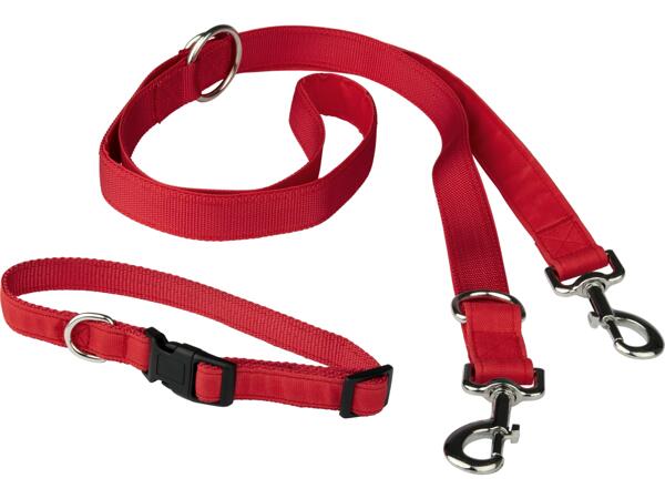 Dog Collar & Lead