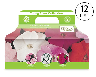 Young Plant Collection