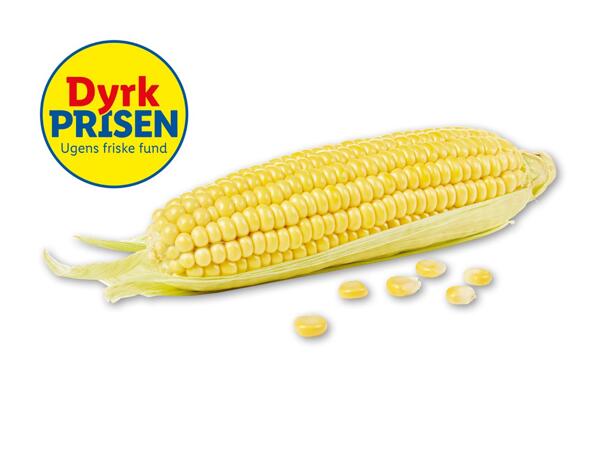 Danske majs