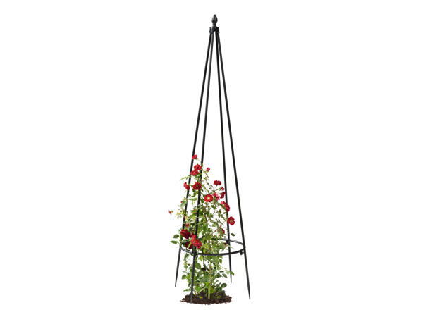 Trellis