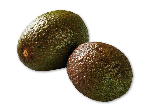 Økologisk avocado