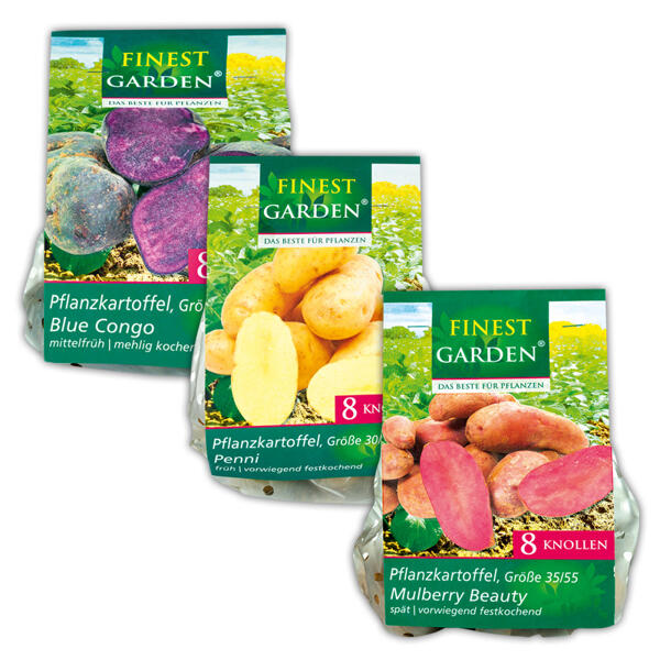 Pflanzkartoffeln