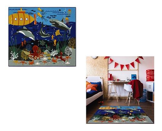 Smithsonian 
 Education Rug