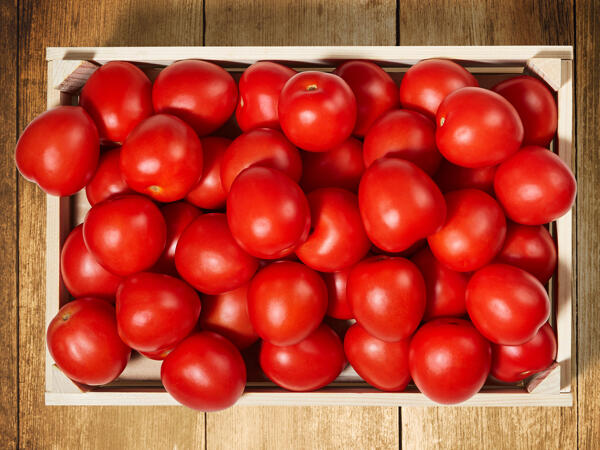 Tomates Roma