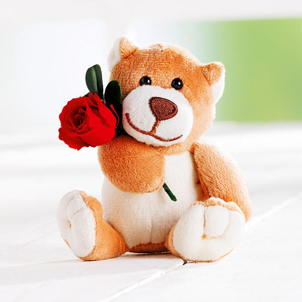 Longlife Rosen
