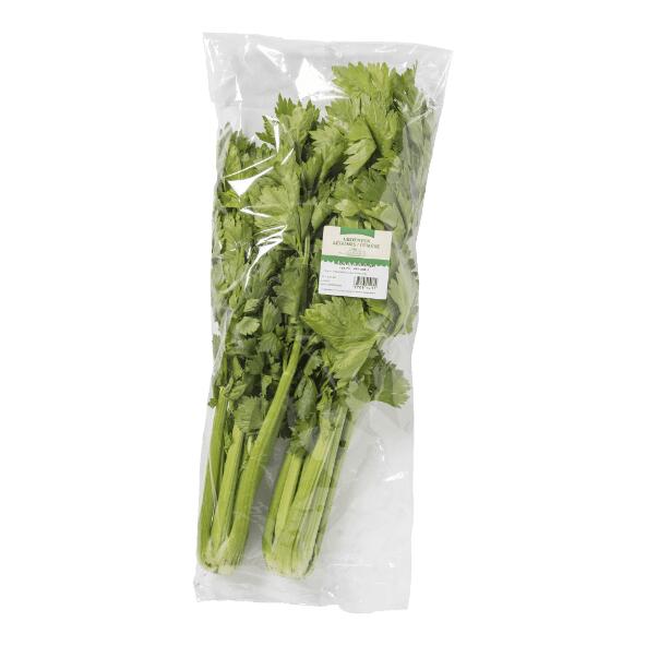 Grüner Sellerie