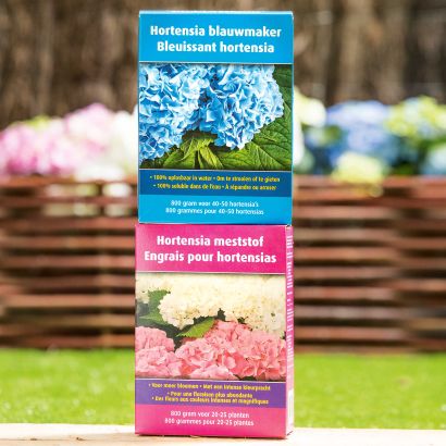 Engrais pour hortensias