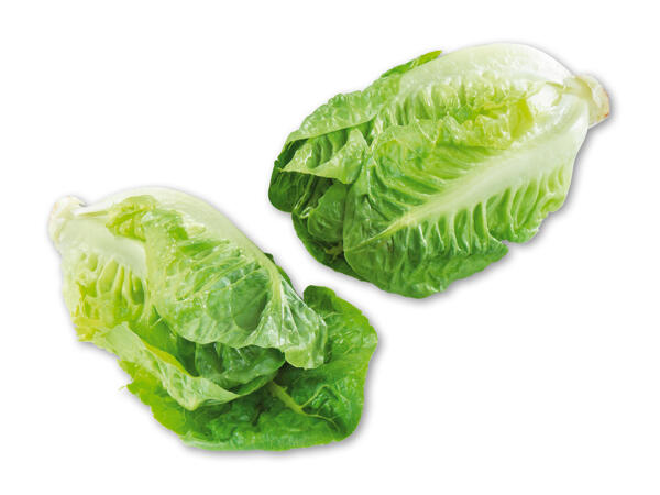 Økologisk dansk hjertesalat