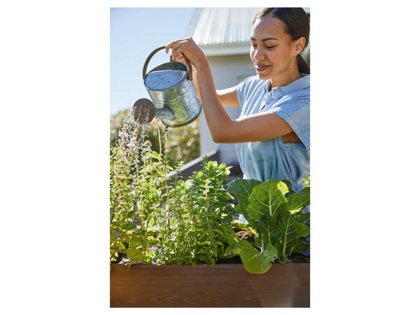 Raised Planter