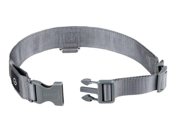 Zoofari LED Light-Up Band Dog Collar