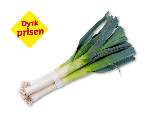 Danske porrer