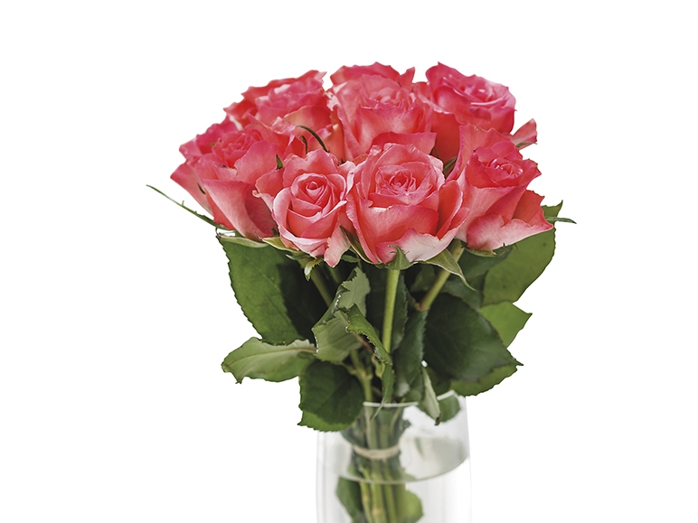 Roses