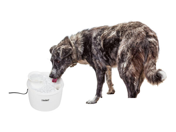 Zoofari Pet Drinking Fountain