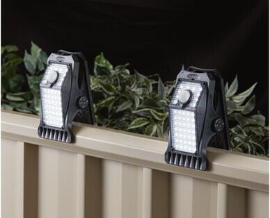 Solar Garden Lights