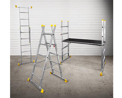 Scaffold and Ladder System