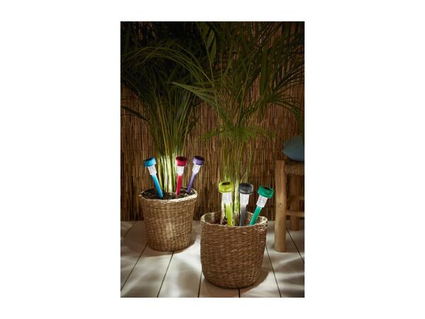 Livarno Home LED Solar Lights - 5 pack