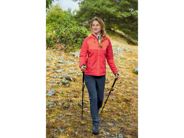 Aluminium Hiking Poles