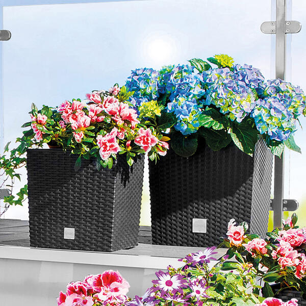 Blumentopf