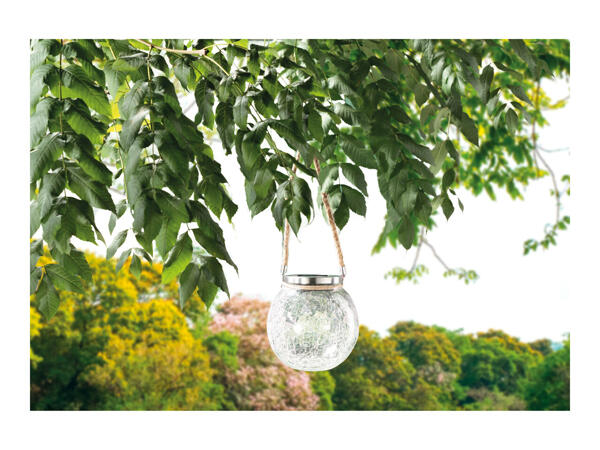 Melinera LED Solar Light