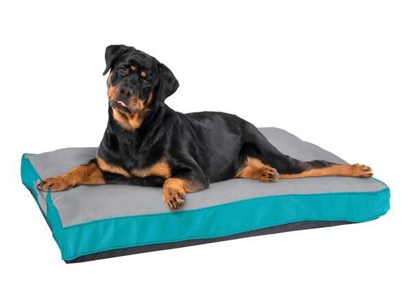 Zoofari Outdoor Dog Bed