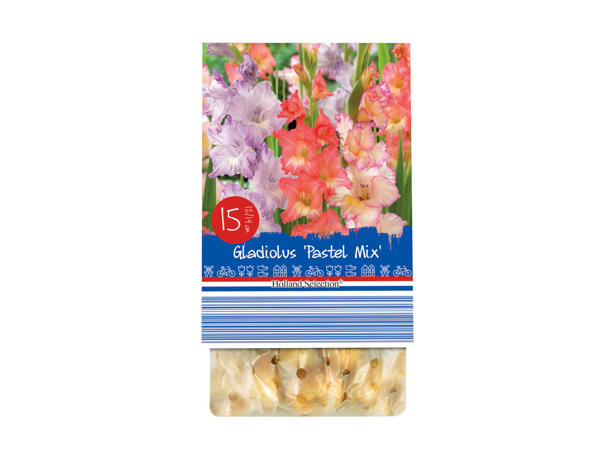 Bulbes à fleurs