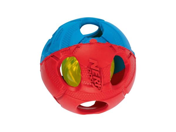 Dog Toy