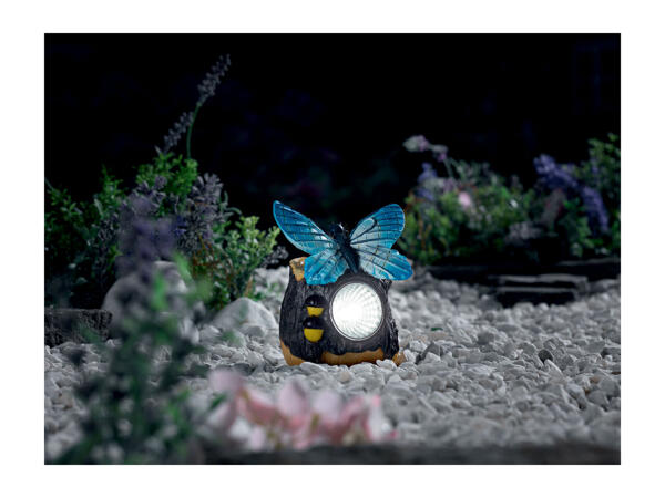 Livarno Home Solar Light Decoration