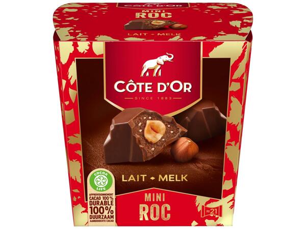 Côte d'Or Mini Rocher