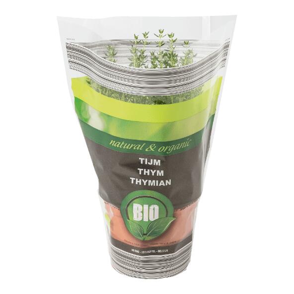 Biokräuterpflanze
