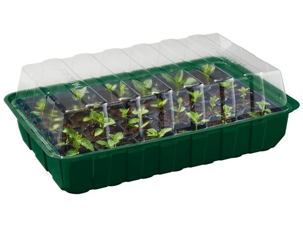 Propagator Set
