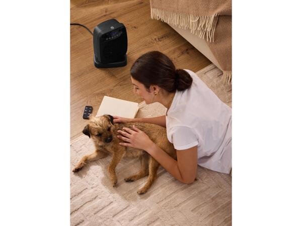 Fan Heater