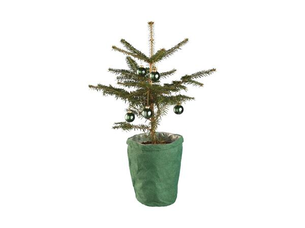 Apartment Christmas Tree