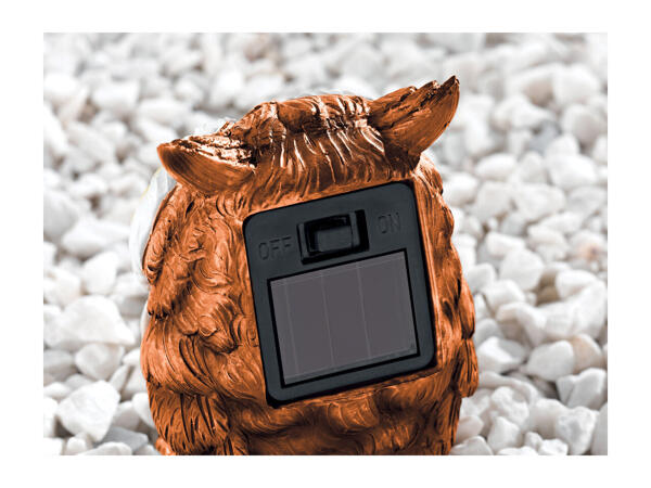 Livarno Home Solar Light Decoration