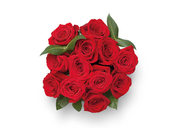 Deluxe Freedom Rose Bouquet